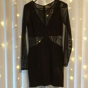 Black long sleeve slim fitting sheer dress